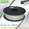 Good Toughness Glow In The Dark ABS Filament  For 3D Printing
